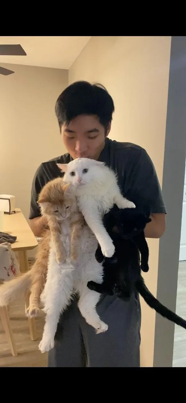 Also in my apartment -- holding Galaxy (center) and two of my friend's cats, which I was taking care of at the time the picture was taken